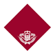 早稲田大学 早稲田大学